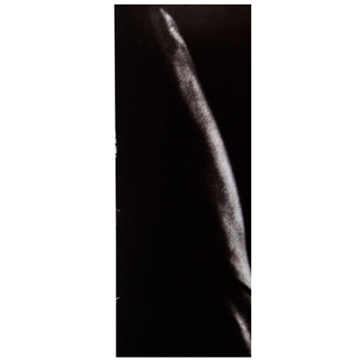 Gal Gadot and Ray Fisher Autographed Batman v Superman 27x40 Original D/S Poster