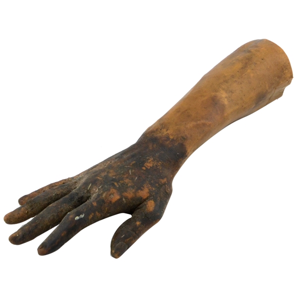 The Walking Dead Season 1 Screen Used Severed Walker Zombie Prop Forearm