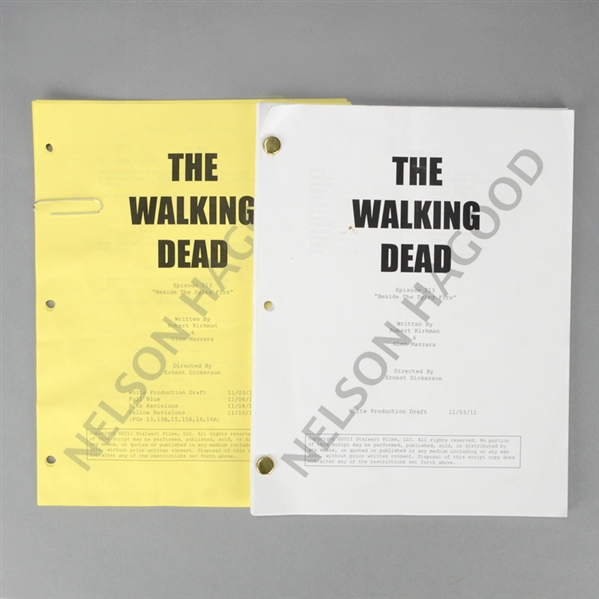 The Walking Dead Episode #213 Beside The Dying Fire Production 2 Production Draft Scripts *Features the Fall of Hershels Farm & *First Appearance of Michonne