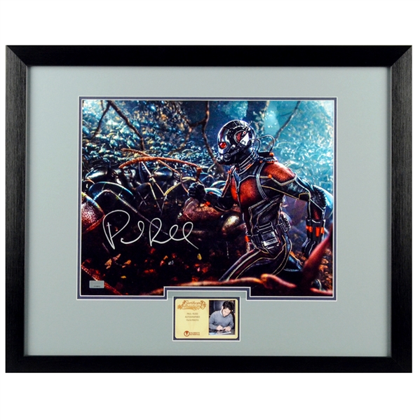 Paul Rudd Autographed Ant-Man Colony 11x14 Framed Photo