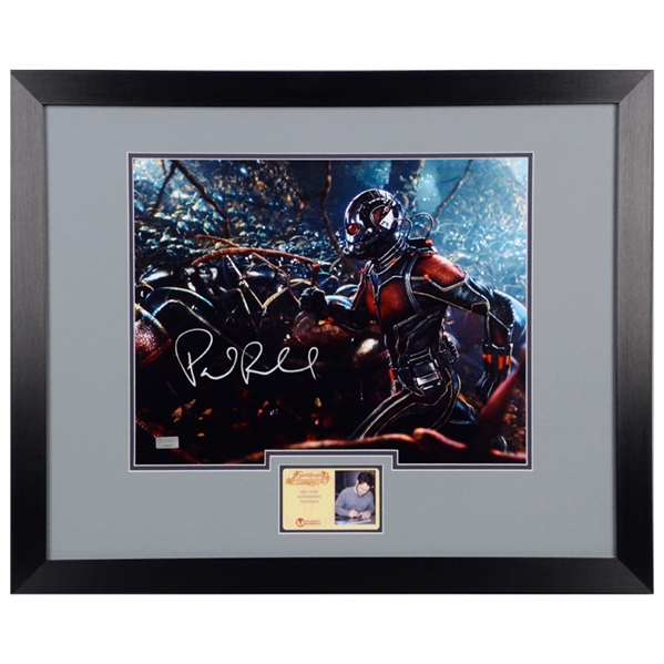  Paul Rudd Autographed Ant-Man Colony 11x14 Framed Photo