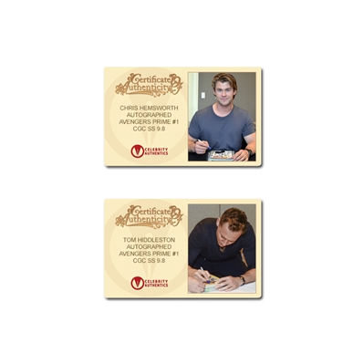 Chris Hemsworth, Stan Lee, Mark Ruffalo, Jeremy Renner, Cobie Smulders, Chris Evans, Tom Hiddleston, Paul Bettany, Paul Rudd Autographed 2011 Marvel's The Avengers Prime #1 CGC SS 9.8 (mint)
