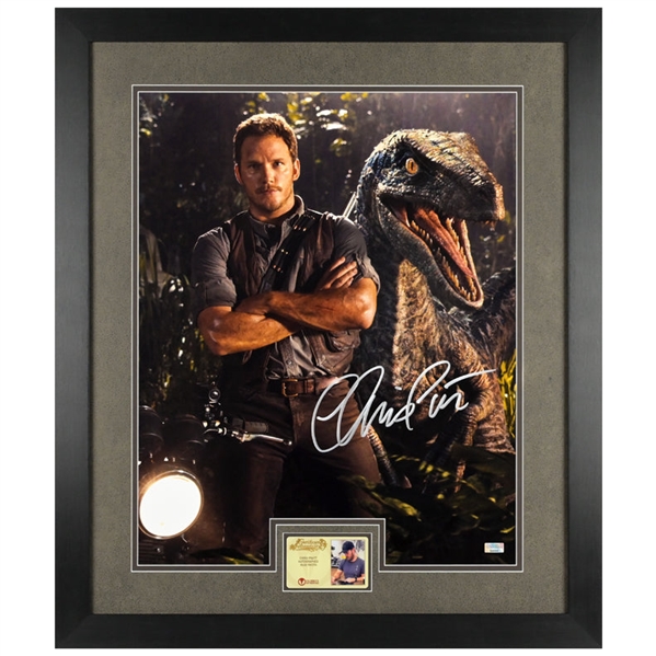 Chris Pratt Autographed Jurassic World Owen and Blue 16×20 Framed Photo