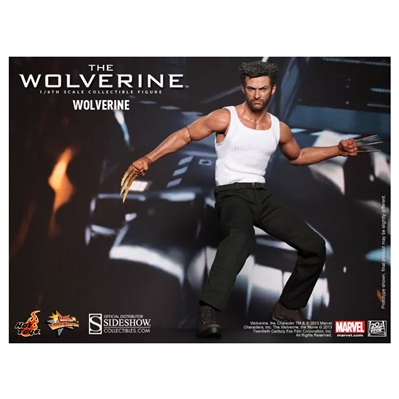 Hugh Jackman Autographed Hot Toys Wolverine 1/6th Scale Collectible Action Figure