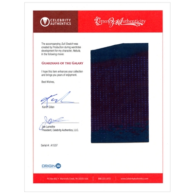 2014 Guardians of the Galaxy Production Made Nebula Suit Framed Display with Karen Gillan Letter of Authenticity