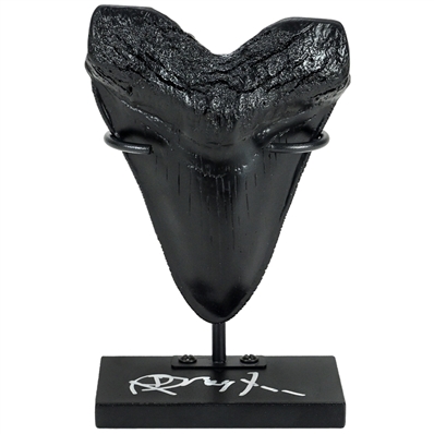 Richard Dreyfuss Autographed Jaws Megalodon Tooth Display