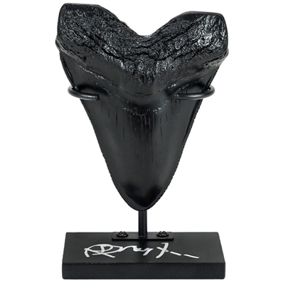 Richard Dreyfuss Autographed Jaws Megalodon Tooth Display