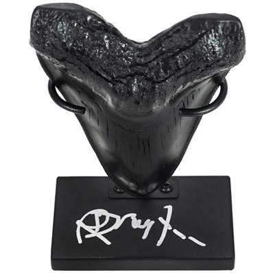 Richard Dreyfuss Autographed Jaws Megalodon Tooth Display