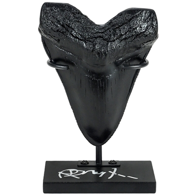 Richard Dreyfuss Autographed Jaws Megalodon Tooth Display